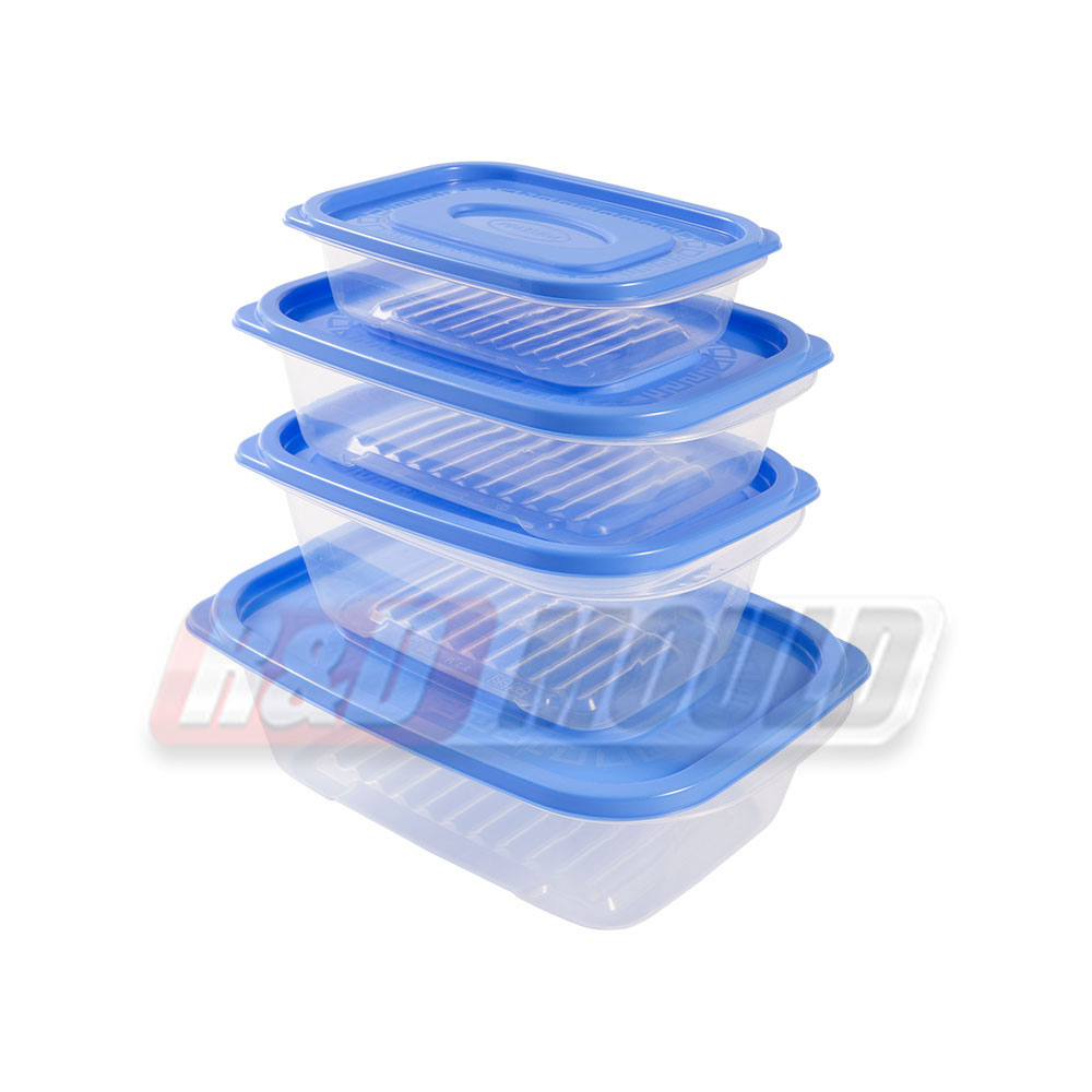 Fresh Food Container Mould
