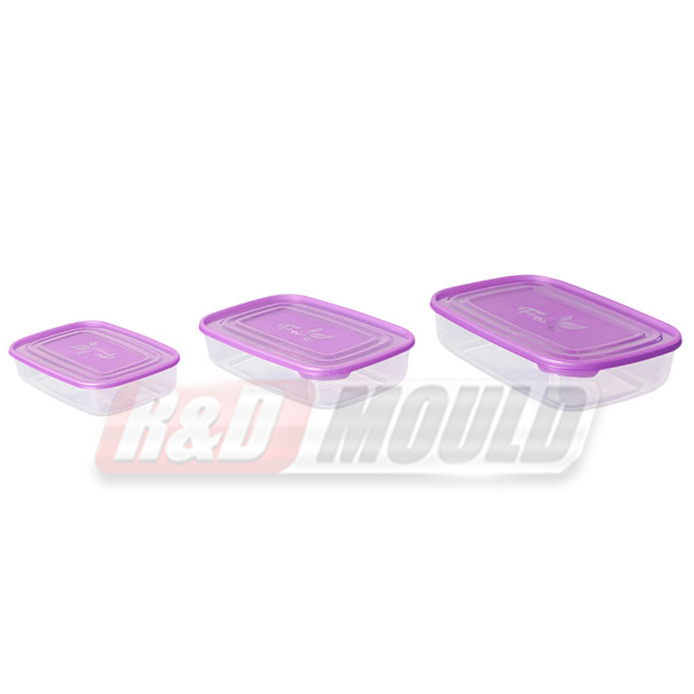Plastic Rectangle Food Container Mold 